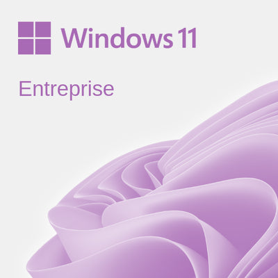 Windows 11 Enterprise | Lifetime Digital License