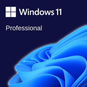 Windows 11 Professional logo with blue abstract design on a dark background
